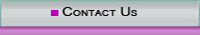 contactus button