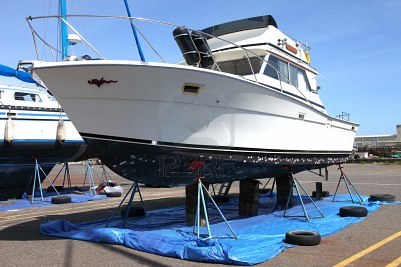 marina
